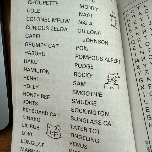 Cat Lovers Word Search Booklet - Picture 6 of 7